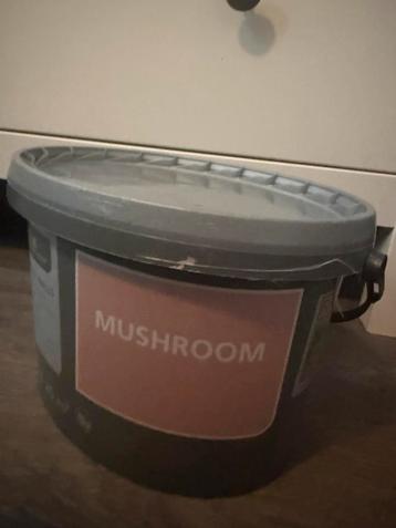 Mushroom verf hornbach nieuw beschikbaar voor biedingen