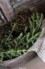 Asparagustak kunst, zijdetak asparagus, Huis en Inrichting, Www.jufbrocante.nl, Www.jufbrocante.nl, Nieuw, Ophalen of Verzenden