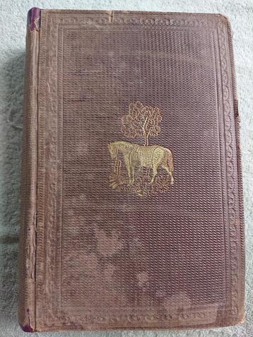 Edward Mayhew - Illustrated Horse Management 1864 beschikbaar voor biedingen