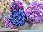 nieuwe Silka kunstbloem Hortensia, 3 verschillende kleuren, Ophalen of Verzenden, Nieuw
