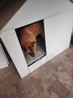 Waakhond mechelse heder, Dieren en Toebehoren, Honden | Herdershonden en Veedrijvers, 6 jaar of ouder, Reu, Eén hond, Herder