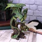 Anne Stokes Beeld Forest Dragon 25,5cm Nieuw in Doos, Ophalen of Verzenden, Nieuw, Fantasy