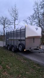 Ifor Williams Veetrailer schapen trailer dubbele laag !!!, Auto diversen, Aanhangers en Bagagewagens, Ophalen of Verzenden, Zo goed als nieuw