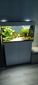 Juwel Rio 125 complete met kast , vissen, garnalen, Ophalen, Gevuld zoetwateraquarium