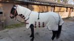 Horseware Rambo 4.6 inch, Ophalen of Verzenden, Zo goed als nieuw