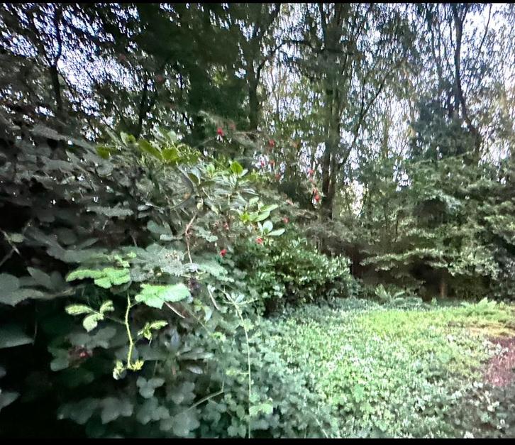 Om af en toe te ruilen:een Tiny house met een appartementje, Huizen en Kamers, Woningruil, Amsterdam