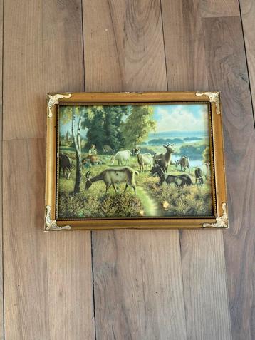 Vintage afbeelding met geiten in gouden lijst beschikbaar voor biedingen