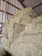 Hooi, Ophalen of Verzenden, Vee