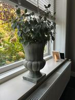Tuinvaas - Klassiek - Steen - Grijs - Groen - 40 cm hoog, Ophalen, Steen, Overige kleuren, Zo goed als nieuw