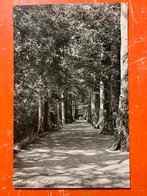 1956 Vlaardingen - Hogelaan (KA), Verzamelen, Ansichtkaarten | Nederland, Ophalen of Verzenden, 1940 tot 1960, Ongelopen, Zuid-Holland