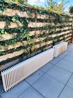 Radiator, Doe-het-zelf en Verbouw, Verwarming en Radiatoren, 30 tot 80 cm, Gebruikt, Radiator, Ophalen of Verzenden