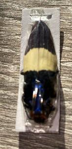 Kever, Overige soorten