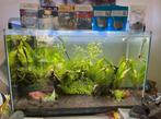 Moet nu weg!!! Superfish home 110 compleet, Ophalen, Zo goed als nieuw, Leeg aquarium