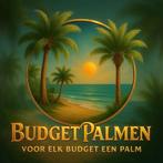 Wilt u van uw palmboom af? Stuur gerust een bericht, Ophalen, Zomer, Volle zon, Palmboom