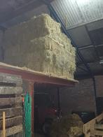 Te koop Hooi, Ophalen of Verzenden, Vee