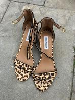 Steve Madden maat 37, Kleding | Dames, Schoenen, Ophalen of Verzenden, Zo goed als nieuw, Zwart, Sneakers of Gympen