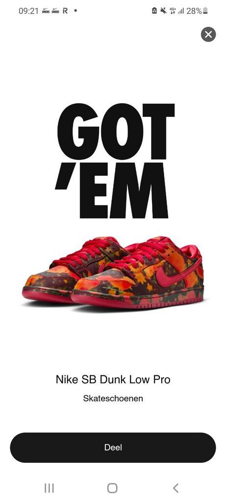Nike SB Dunk Low Pro 'The Wizard of Oz' (42), Kleding | Heren, Schoenen, Nieuw, Sneakers of Gympen, Overige kleuren, Ophalen of Verzenden