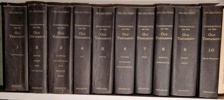 Keil & Delitzsch Commentary on the Old Testament (10 delen), Boeken, Godsdienst en Theologie, Gelezen, Christendom | Katholiek