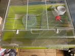 Hamsterkooi, Dieren en Toebehoren, Knaagdieren en Konijnen | Hokken en Kooien, Kooi, Gebruikt, Minder dan 75 cm, Hamster