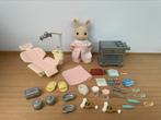 Sylvanian families dokter set, Ophalen of Verzenden