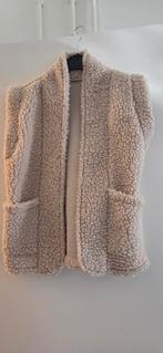 Bodywarmer, Ophalen of Verzenden, Meisje, Jas