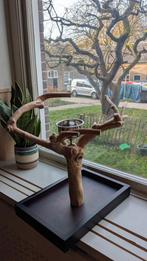 Javaboom, Dieren en Toebehoren, Ophalen of Verzenden, Zo goed als nieuw, Kooi-accessoires