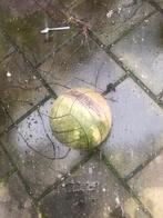 Groene Volleybal - Gebruikt, Tuin en Terras, Overige Tuin en Terras, Ophalen of Verzenden, Gebruikt