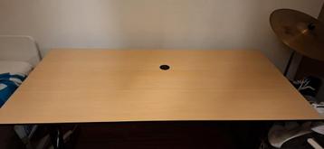 Professioneel bureau 80 x 160 cm, verstelbare hoogte beschikbaar voor biedingen