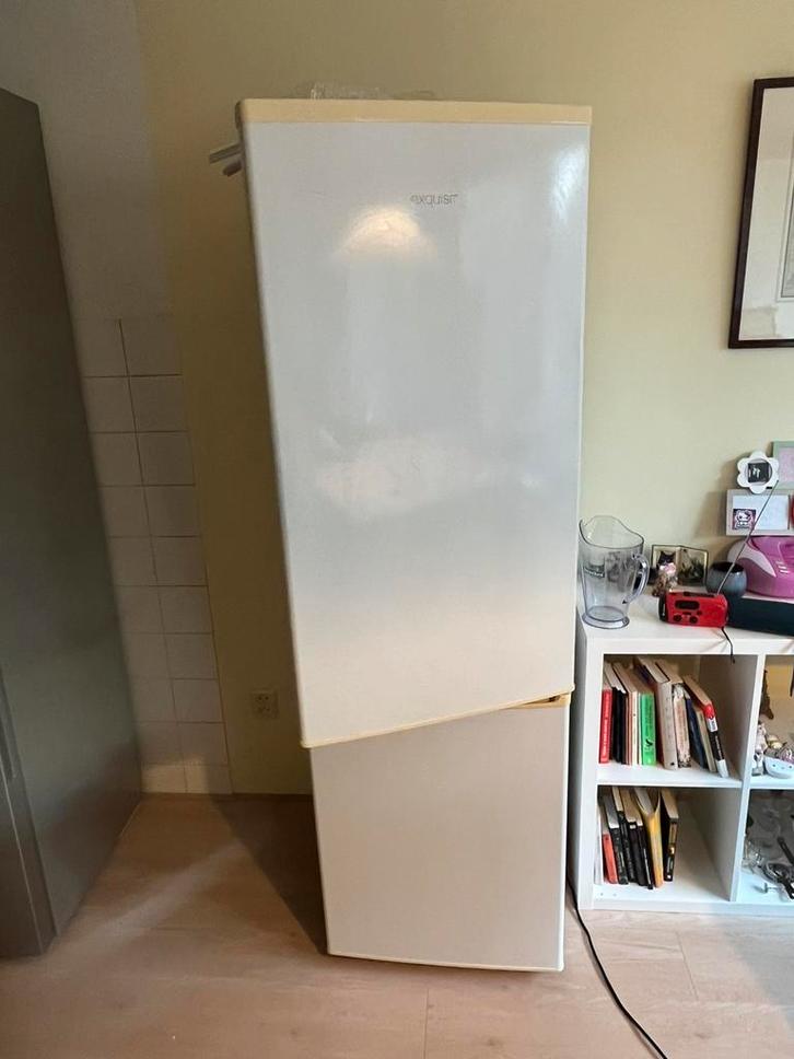 Witte exquisit koelkast, Witgoed en Apparatuur, Koelkasten en IJskasten, Gebruikt, Met vriesvak, 200 liter of meer, 160 cm of meer