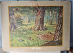 Antieke schoolplaat in het Bos/M.A Koekoek, Ophalen, Natuur en Biologie