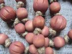 DECORATIE HOUTEN KRALEN MET BELLETJES, Ophalen of Verzenden, Nieuw