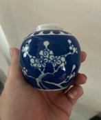 Mini Prunus Gemberpotje, Ophalen of Verzenden