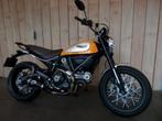 DUCATI SCRAMBLER CLASSIC (2015), 2 cilinders, Bedrijf, Meer dan 35 kW, 800 cc