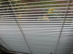 Originele Luxaflex 15 mm witte jaloezieën, zie beschrijving, Ophalen, Gebruikt, 100 tot 150 cm, 150 tot 200 cm