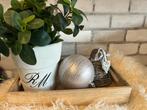 Setje  kerst of gewoon zo dienblad bloempot kl, Ophalen of Verzenden, Zo goed als nieuw