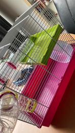 Hamster kooi zgan, Dieren en Toebehoren, Kooi, Minder dan 75 cm, Zo goed als nieuw, Hamster