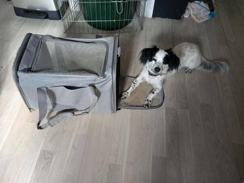 Draagtas tot 6kg, Dieren en Toebehoren, Honden-accessoires, Zo goed als nieuw, Ophalen