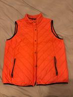 Gaastra Bodywarmer Dames XXL - Barendrecht, Gaastra, Maat 46/48 (XL) of groter, Oranje, Ophalen of Verzenden