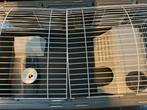 Caviahok 1.20cm met toebehoren, Hok, Hamster, Ophalen, Minder dan 60 cm