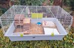 Mooie grote cavia/ kleindieren kooi met alle toebehoren  !, Dieren en Toebehoren, Kooi, Zo goed als nieuw, 75 tot 110 cm, Cavia