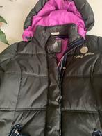 Gaastra Winterjas Dames Maat L (valt als M), Kleding | Dames, Jassen | Winter, Maat 38/40 (M), Gaastra, Zwart, Ophalen of Verzenden