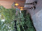 Tuinlampen 2 stuks. Hout. Cortenstaal. Beton. Japanse stijl., Tuin en Terras, Buitenverlichting, Ophalen, Gebruikt, Minder dan 50 watt