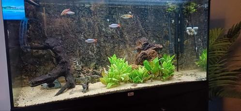 Aquatlantis VOLGA 240 aquarium met kast en toebehoren, Dieren en Toebehoren, Vissen | Aquaria en Toebehoren, Leeg aquarium, Ophalen