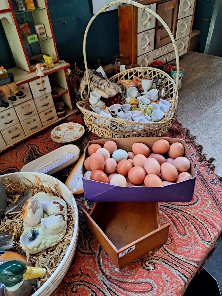 Verse biologische eieren, Diversen, Levensmiddelen, Ophalen