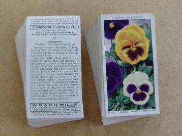Garden Flowers complete set 50 cigarette cards bloemen 1939 beschikbaar voor biedingen