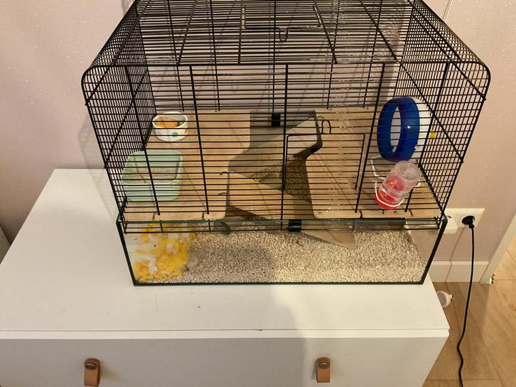 Hamster kooi 70x50cm, Dieren en Toebehoren, Knaagdieren en Konijnen | Hokken en Kooien, Zo goed als nieuw, Kooi, 60 tot 90 cm