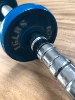 Gewicht sportschool dumbbell 4,2 kg, Gebruikt, Ophalen of Verzenden, Dumbbell