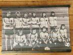 Fotokaart op linnen, Nederlands elftal 1974, Verzamelen, Sportartikelen en Voetbal, Ophalen of Verzenden, Gebruikt, Poster, Plaatje of Sticker