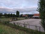 Aangeboden: paddock, stal en weide (Aalsmeerderbrug), Dieren en Toebehoren, Stalling en Weidegang, Weidegang, 1 paard of pony