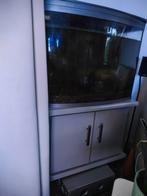 Aquarium ruilen tegen een kleinere, Dieren en Toebehoren, Vissen | Aquaria en Toebehoren, Ophalen